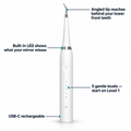 Arvioco Plaque Remover